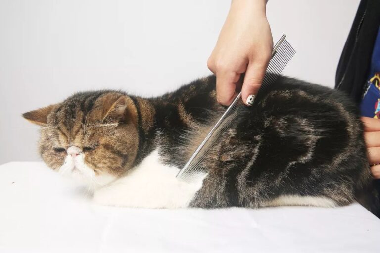 黔西南州2025年中考网上补报志愿须知