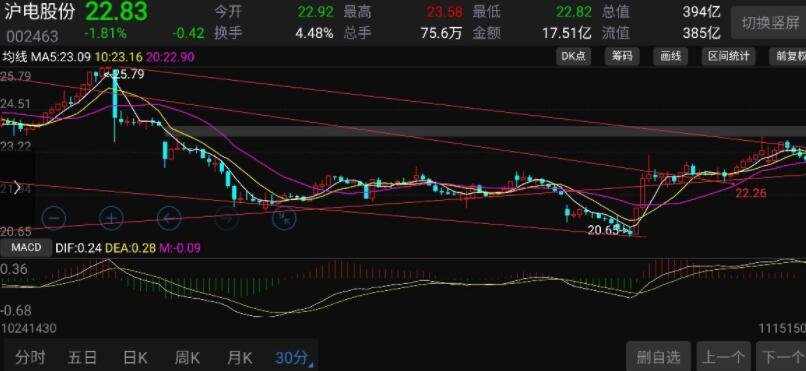 超300万人次!暑运白云机场口岸进出境人员比增14%