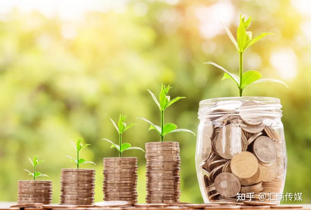 梅州海关供港澳活猪远程检疫监装模式正式启动