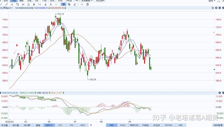 广东湛江：中华白海豚种群稳定 生态保护显成效