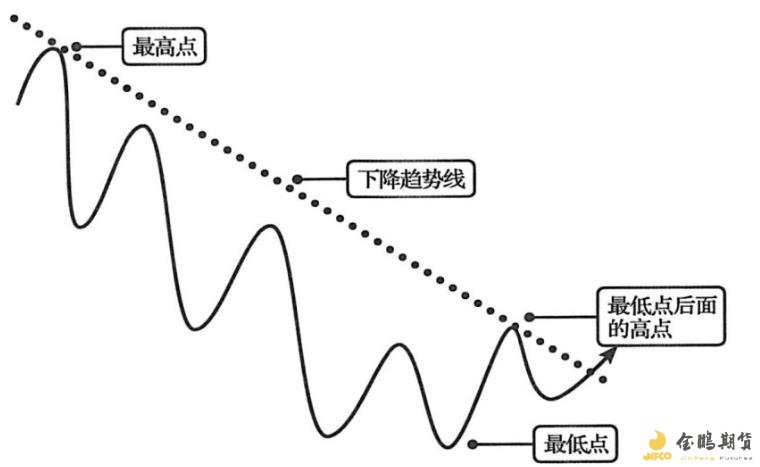 广东湛江：中华白海豚种群稳定 生态保护显成效